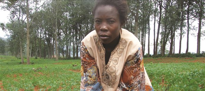 CABI joins 13-country African fertiliser project